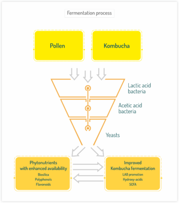 Fermentation proces Hepamix