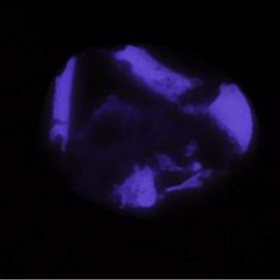 Solution 72% powder of Talcum